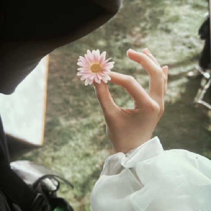 profile cover