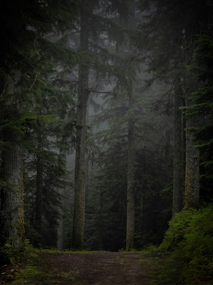 story-img