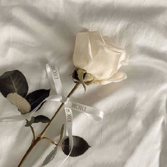 profile cover