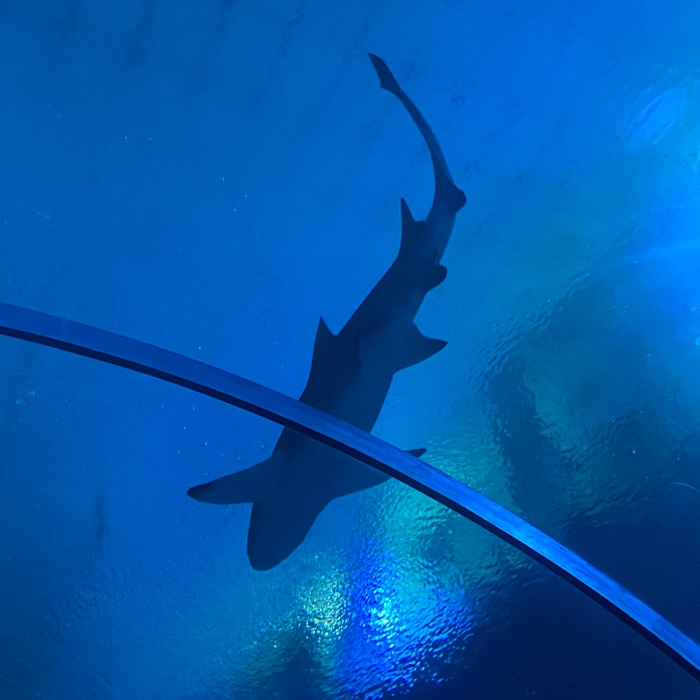 profile cover