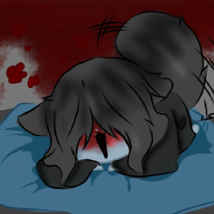 profile cover