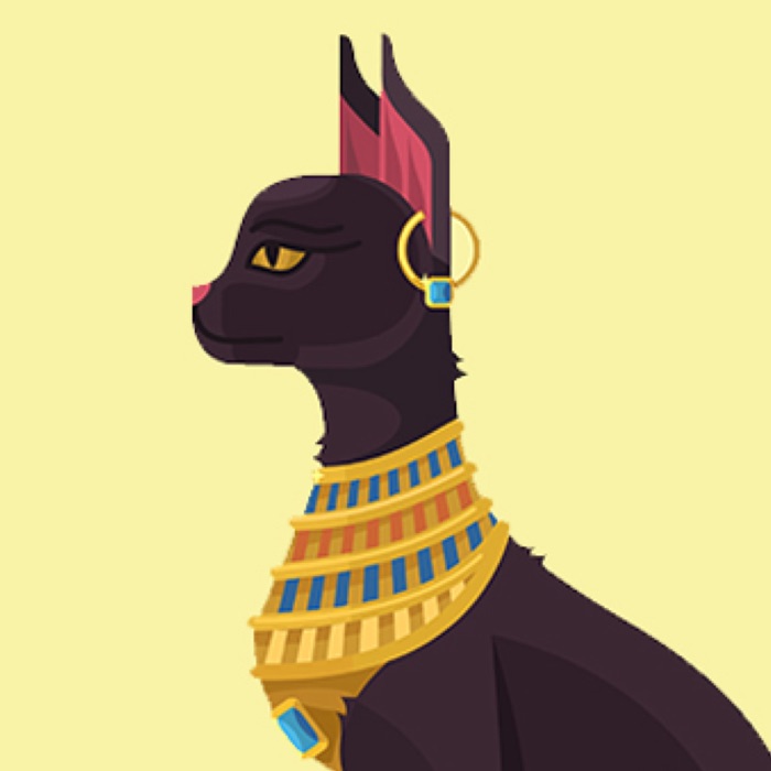 profile cover