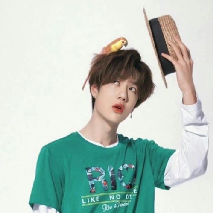 profile cover