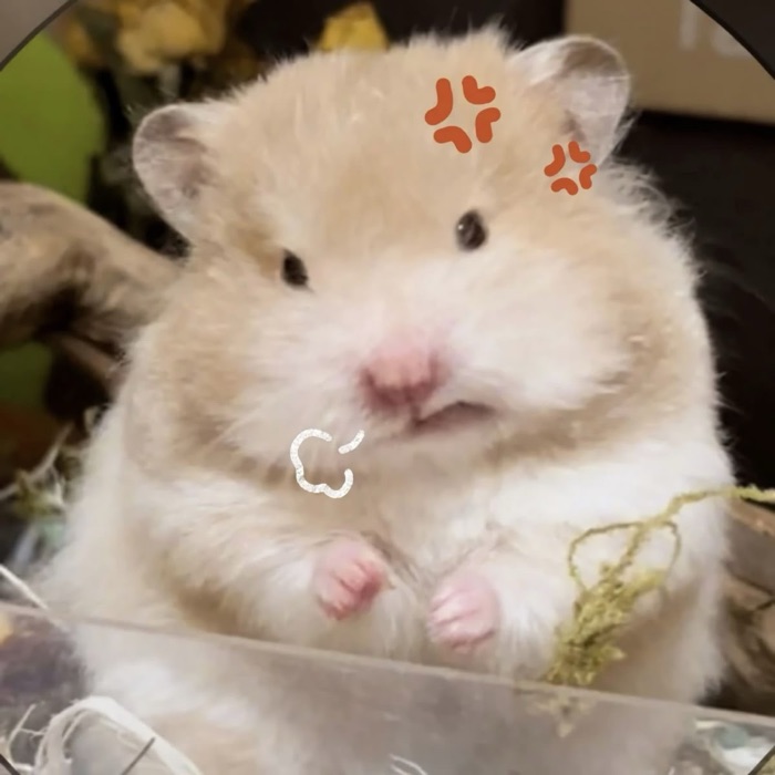 profile-image