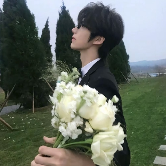 profile cover
