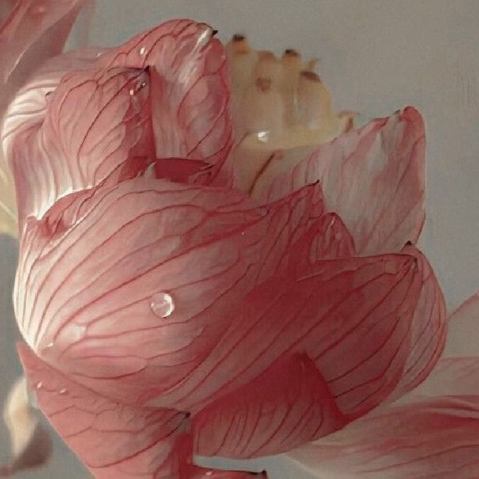 profile cover