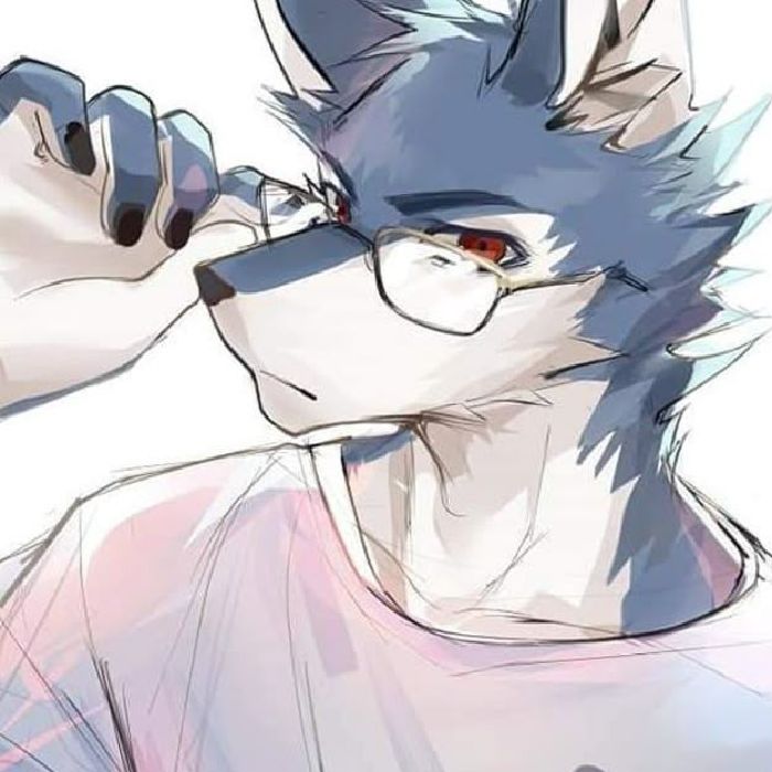 profile-image