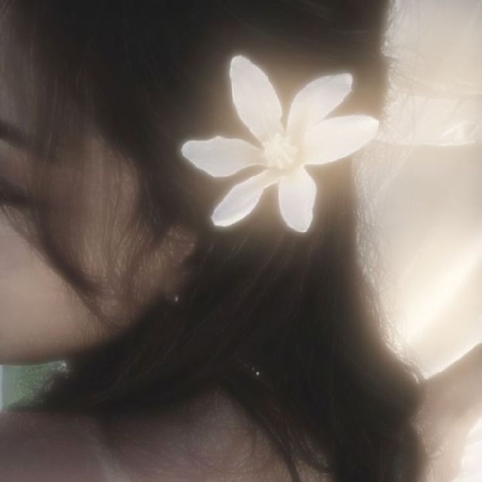 profile cover
