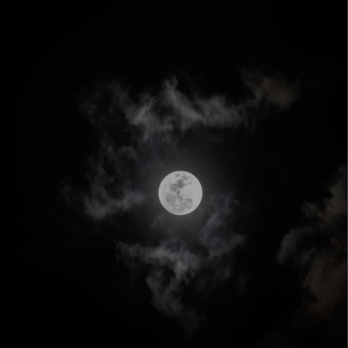 profile cover