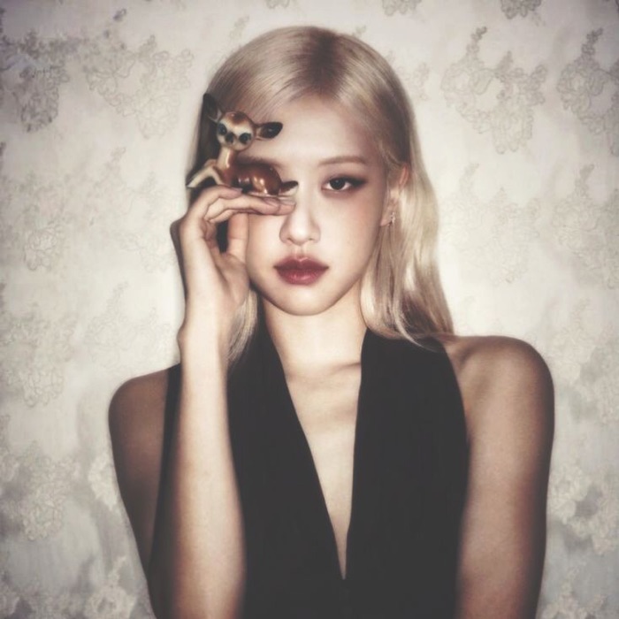 profile cover