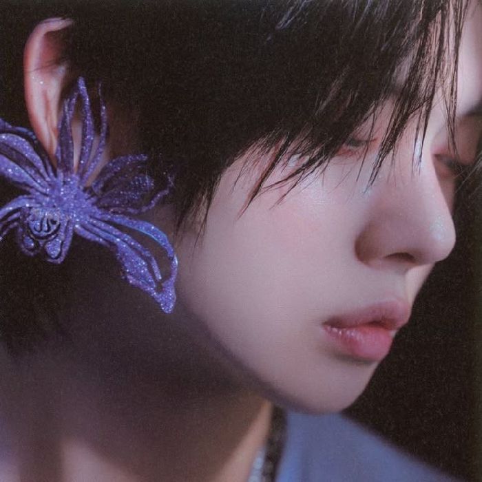 profile cover