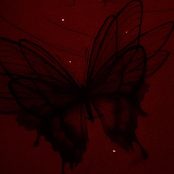 profile cover