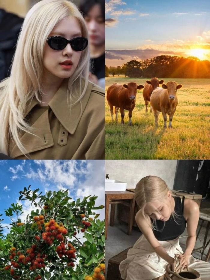 story-img