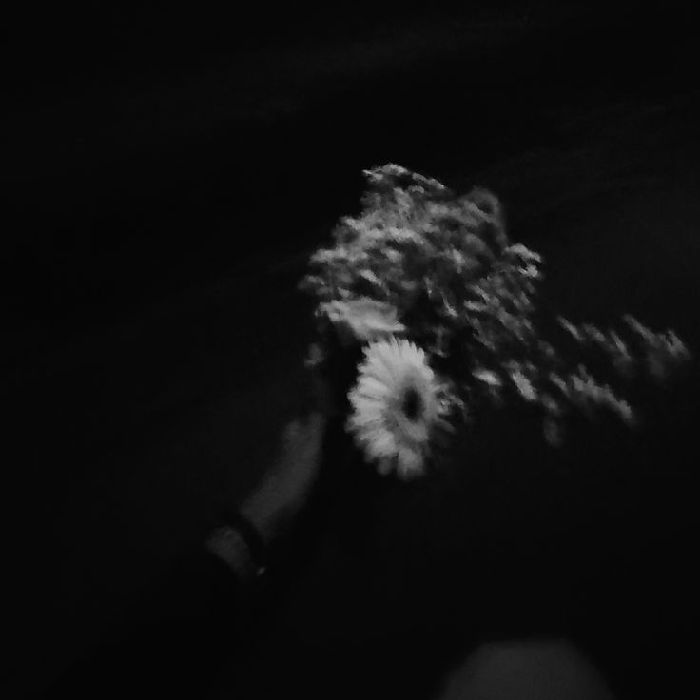 profile cover