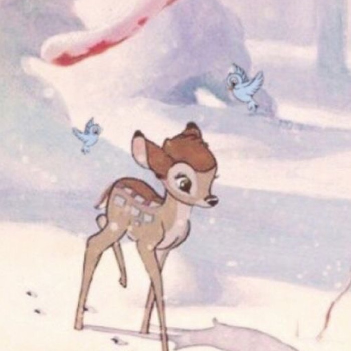 profile cover