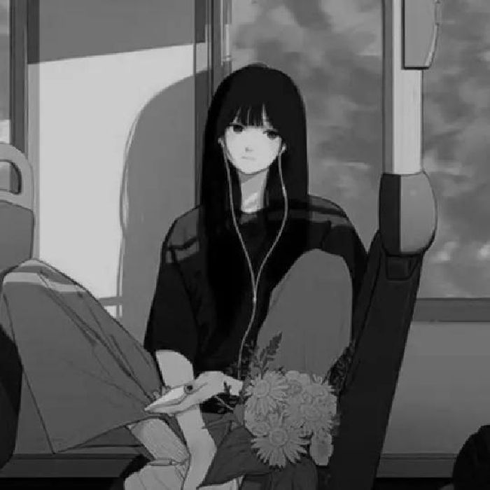 profile cover