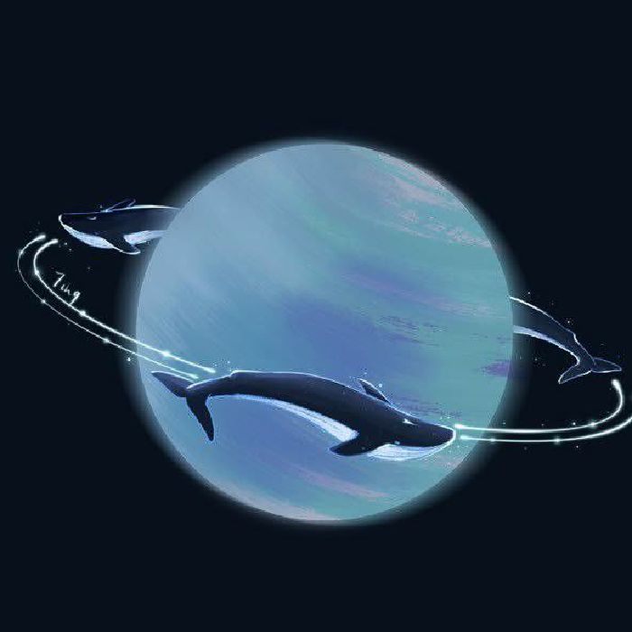 profile cover