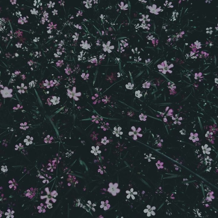 profile cover