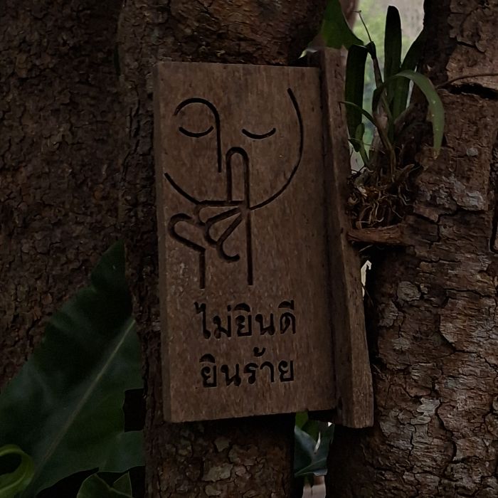 profile cover