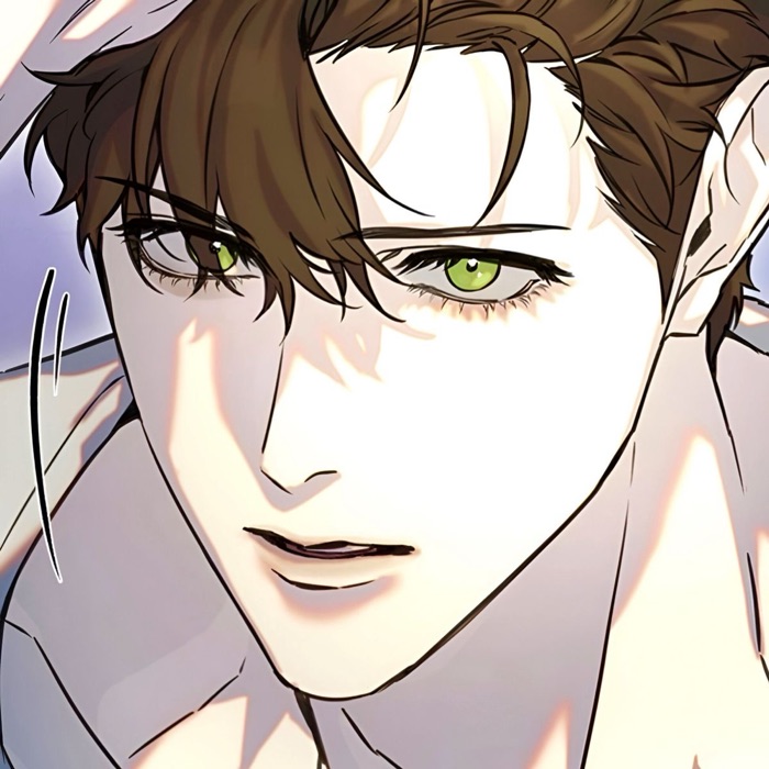 profile cover