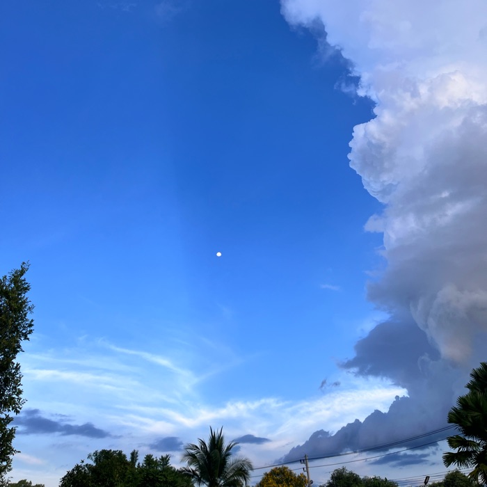 profile cover