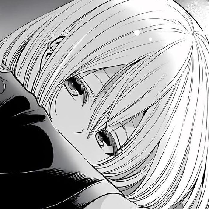 profile cover