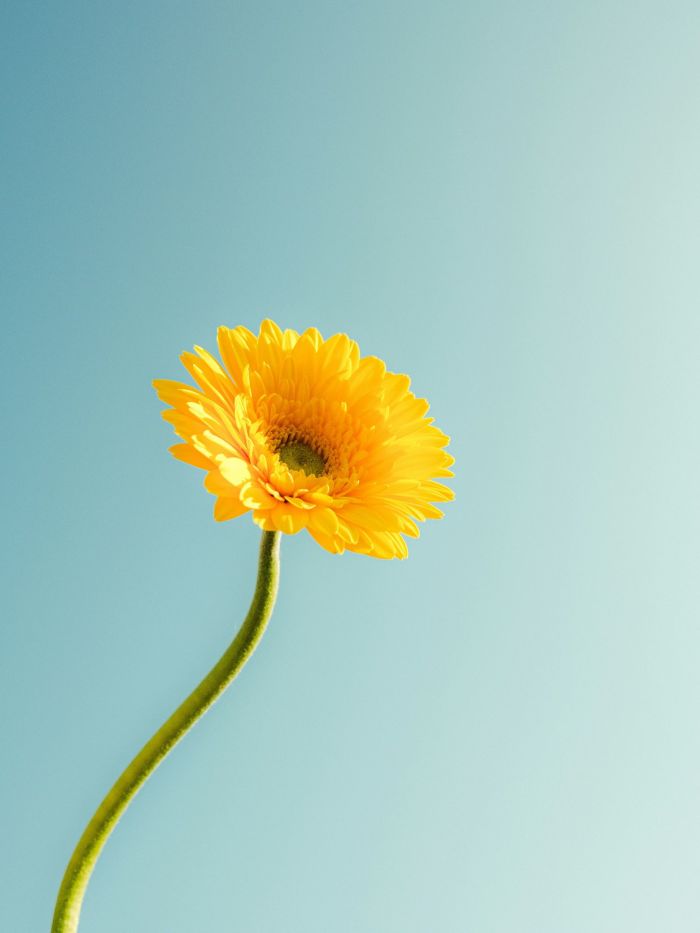 story-img