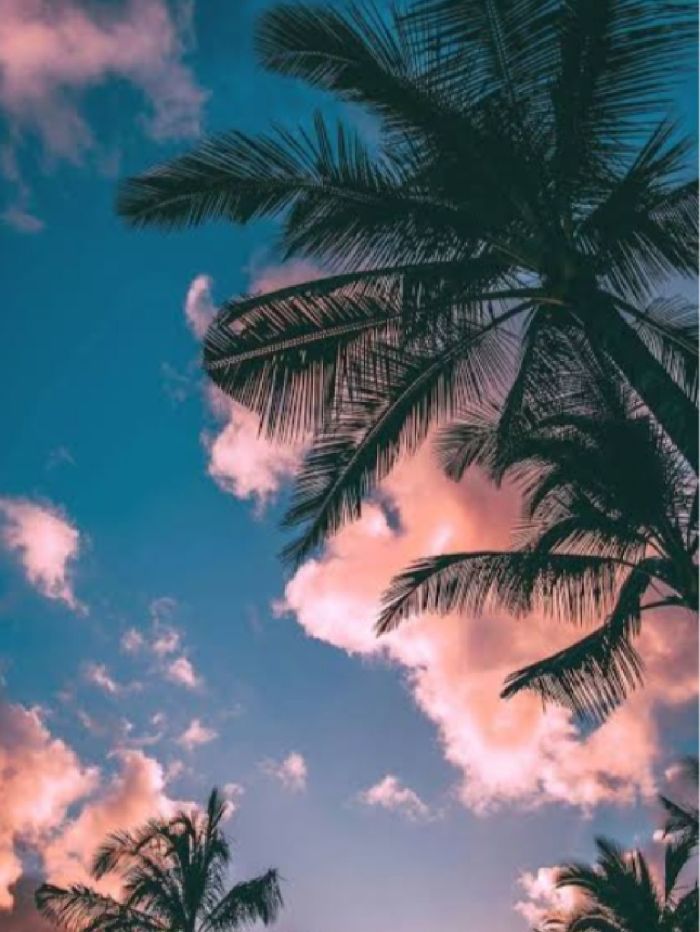 story-img