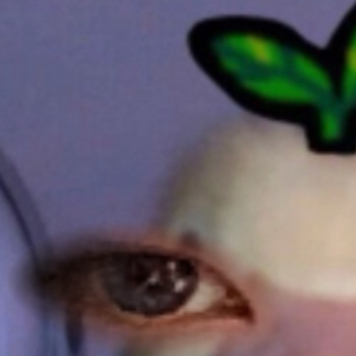 profile cover