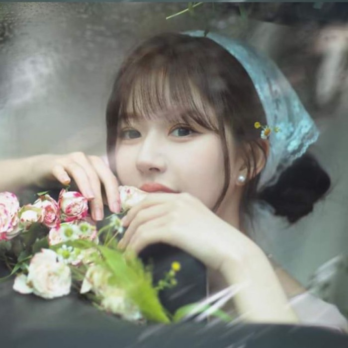 profile cover
