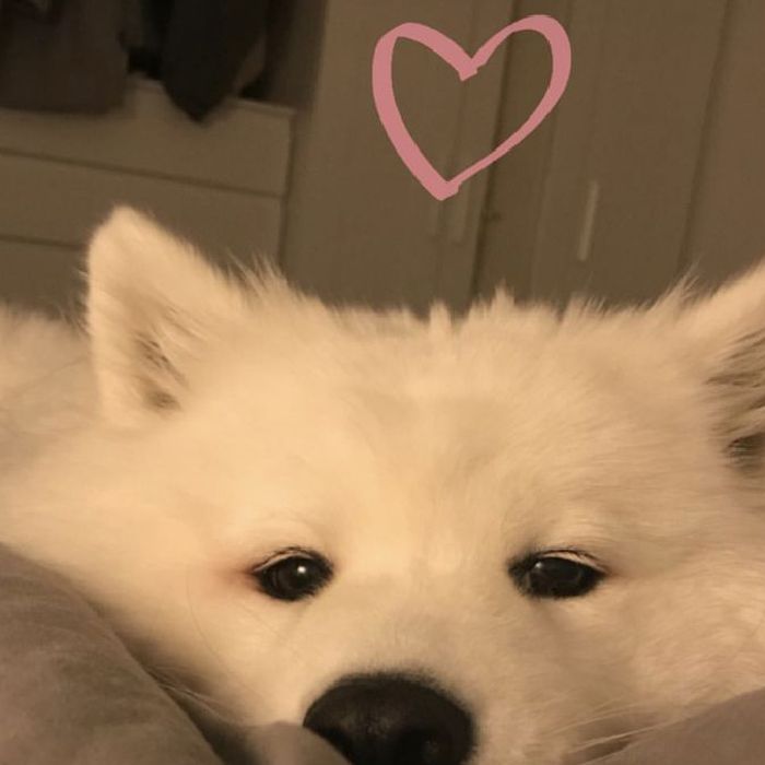 profile cover