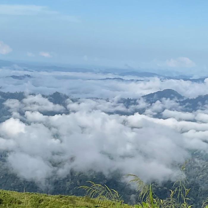 profile cover