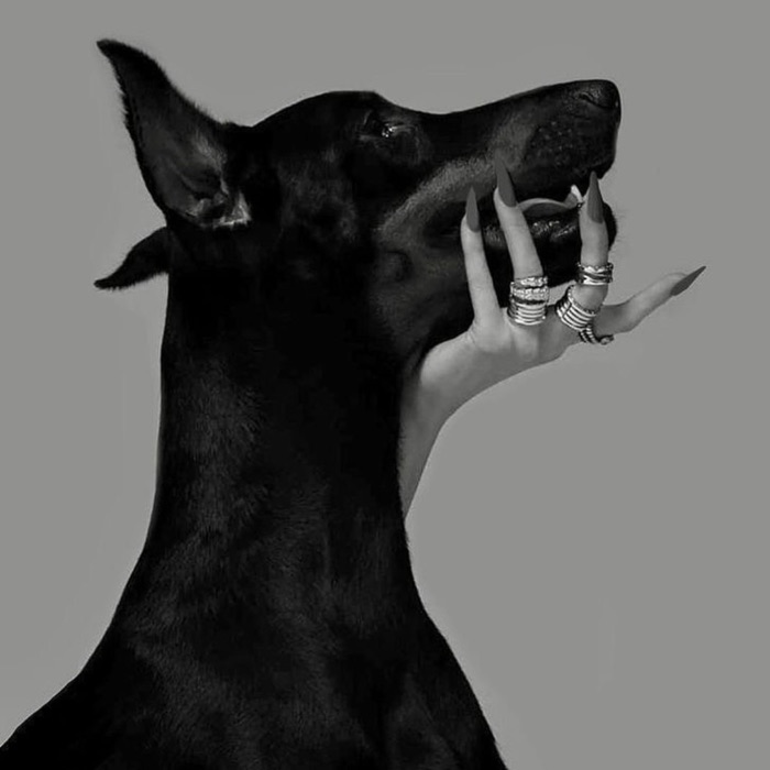 profile cover