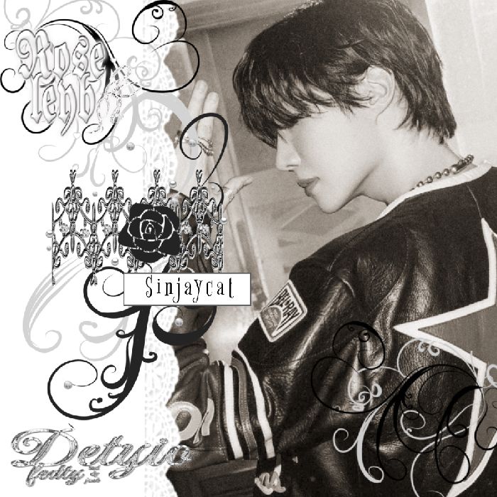 profile cover