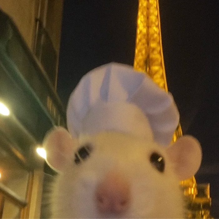 profile-image
