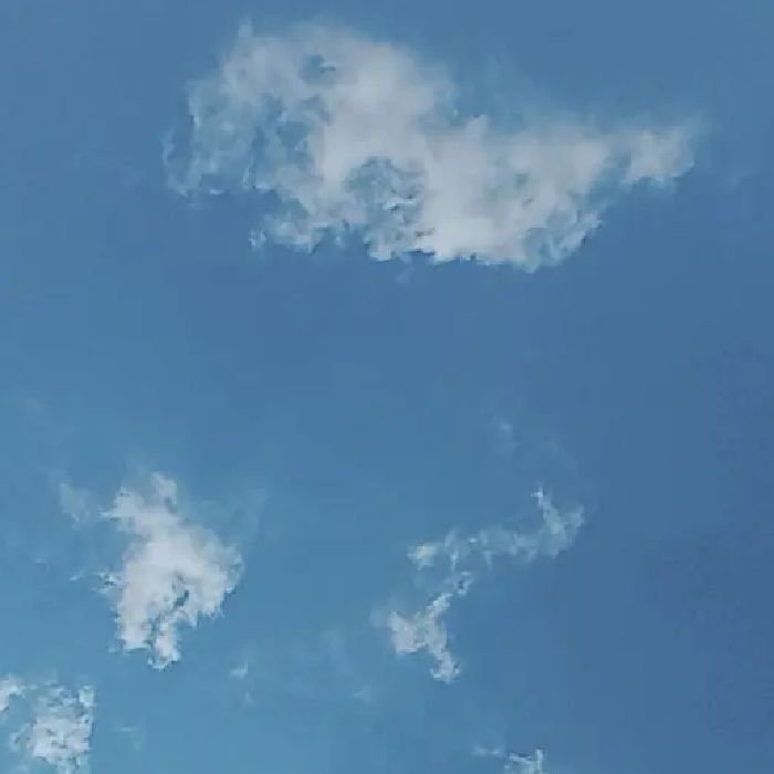 profile cover