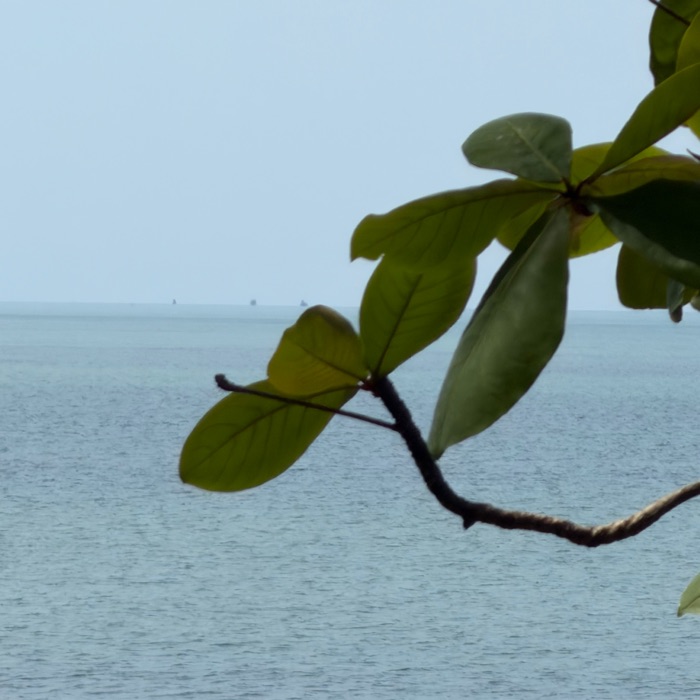 profile cover