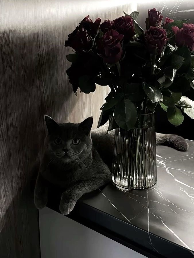 story-img