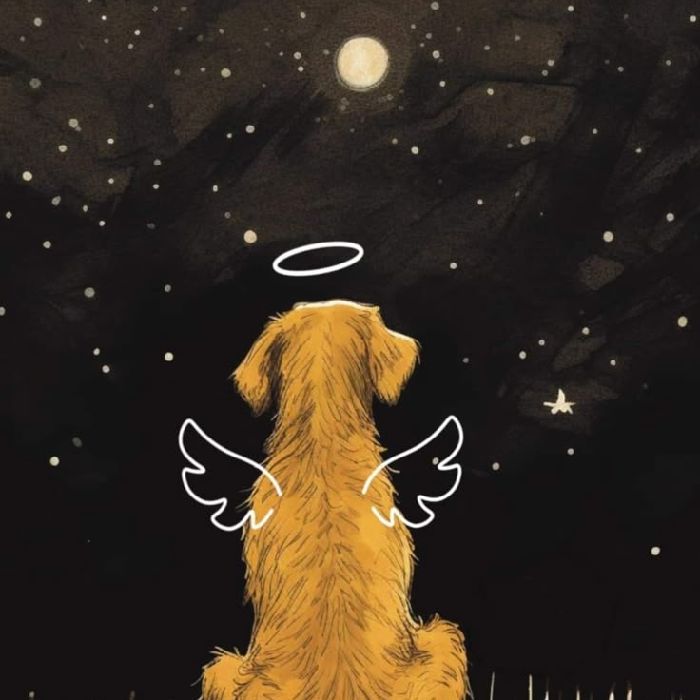profile cover