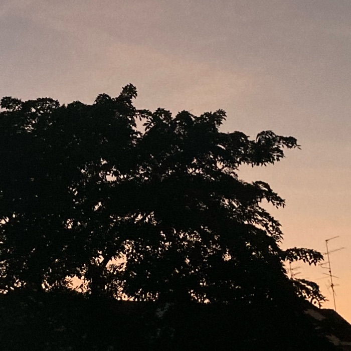 profile cover