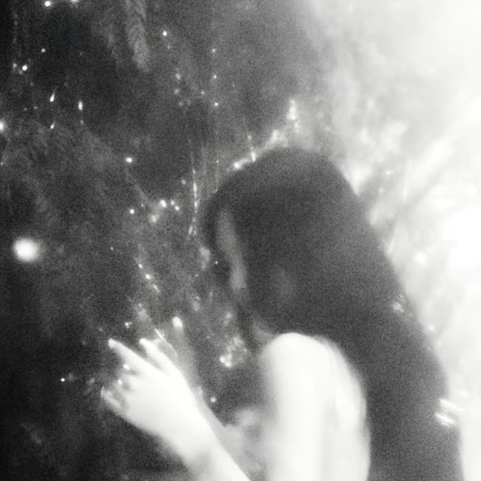 profile cover