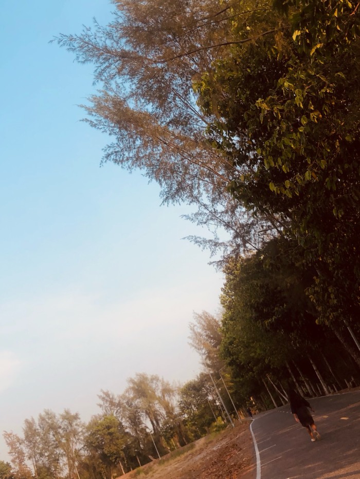 story-img