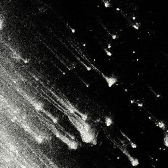 profile cover