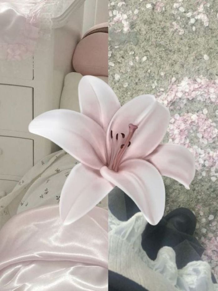 story-img