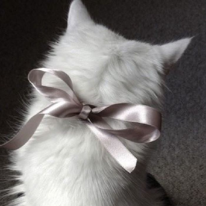 profile cover