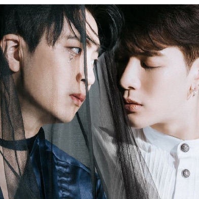 profile cover