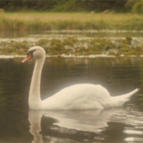 profile cover