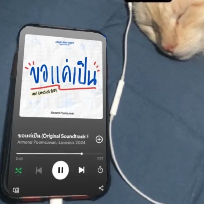 profile cover