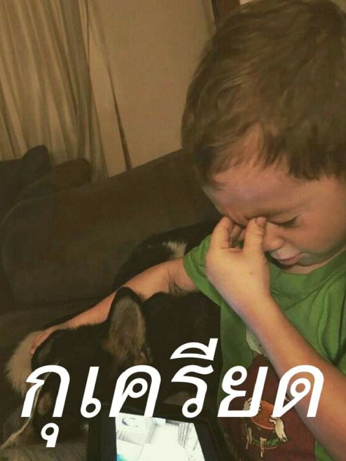 story-img