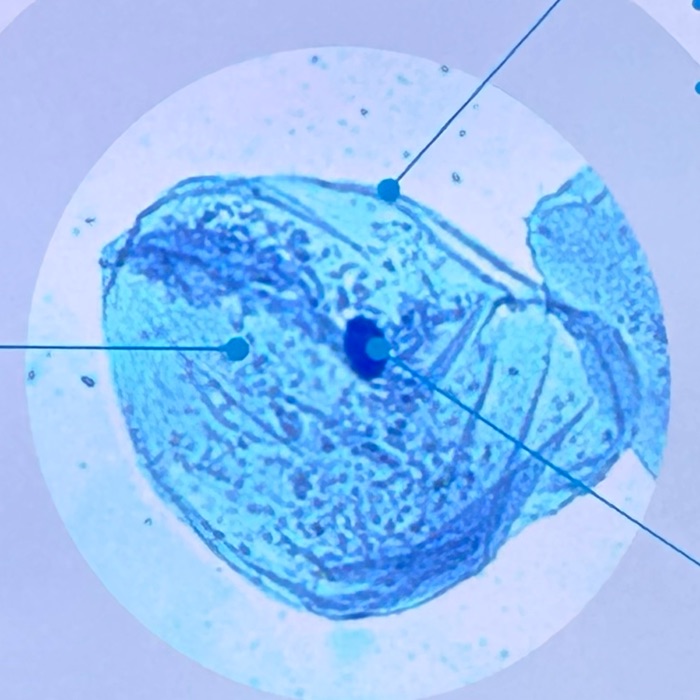 profile cover